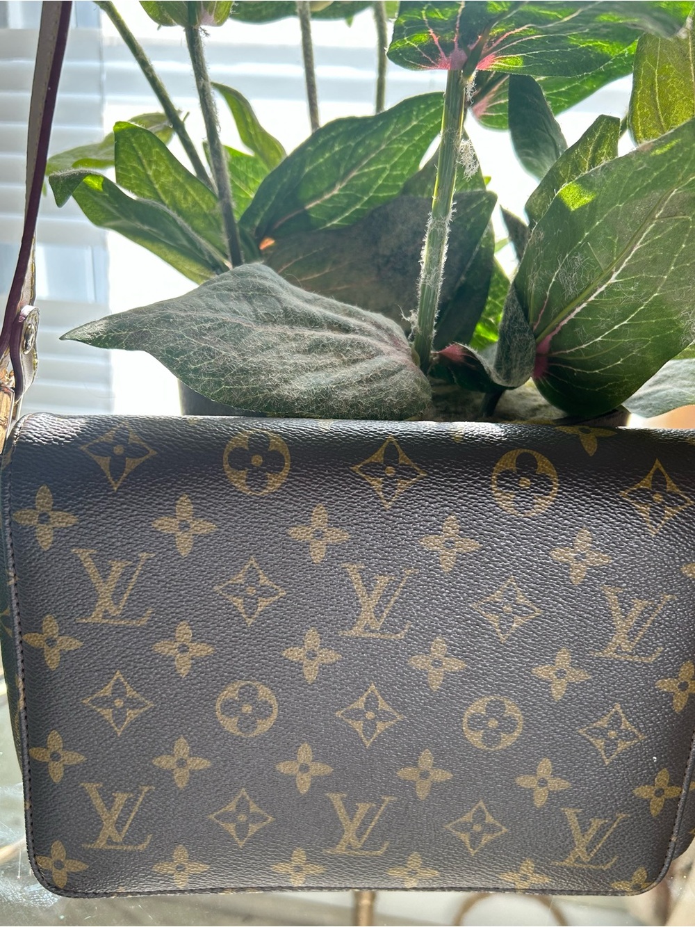 Louis Vuitton Monogram Canvas Crossbody in Brown and Gold